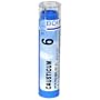 Boiron Homeopathic Medicine Causticum, 6C Pellets, 80-Count Tubes (Pack of 5)