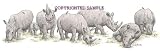 Rhinos - Drawing by Cindy Farmer