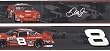 Dale Earnhardt Jr.#8 Nascar Wall Border Multi Gray