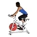 Stamina 9200 CPS Indoor Cycling Bike