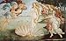 BIRTH OF VENUS POSTER 24 X 36 SANDRO BOTTICELLI AP651