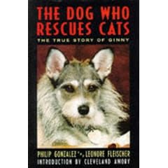 The Dog Who Rescues Cats: The True Story of Ginny