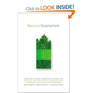Natural Capitalism: Creating the Next Industrial Revolution [Bargain Price] [Paperback]