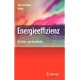 Energieeffizienz: Ein Lehr- und Handbuch von Martin Pehnt