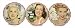 Not Camping / Be Wild / High Maintenance Coaster Set by anne taintor