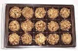 Scott's Cakes Pecan White Chocolate Truffles 1 Pound White Gourmet Box