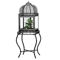 Red Carpet Studio Monticello Terrarium