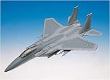 F - 15E Strike Eagle - B0006N1QJU