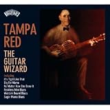  -  Roots N' Blues: The Guitar Wizard
