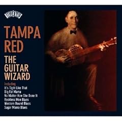 Roots N' Blues: The Guitar Wizard