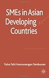 SMEs in Asian Developing Countries