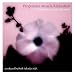 Progressive Muscle Relaxation: 20 Minutes to Total Relaxation