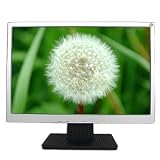 19 L-1938W DVI Widescreen LCD Monitor w/Speakers (Black/Silver)