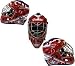 2008- 2009 Montreal Canadiens Autographed / Signed Hockey Mask