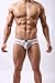 DomiGe Sheer Mesh Boxer Briefs Underwear, Mens, White (5047)