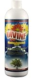 Divine Garden Botanical Liquid