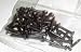 Price Comparison : KV Nails For Standards Brown (Bag of 50)