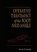 Book Operative Treatment of the Foot and Ankle