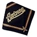 Houston Astros Baseball Dog Bandana Medium/Large