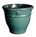 Medium Cyprus Pot Green