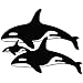 Killer Whale Family - Animal Decal Vinyl Car Wall Laptop Cellphone Sticker