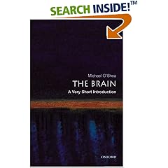 Brain. A Very Short Introduction (Very Short Introductions) (Taschenbuch)