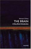 The Brain: A Very Short Introduction (Very Short Introductions)