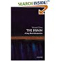 The Brain: A Very Short Introduction (Very Short Introductions)