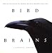 Search : Bird Brains: Intelligence of Crows, Ravens, Magpies and Jays