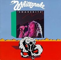 Snakebite