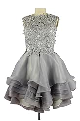  Organza Ruched Lace  Ball Gown Evening Dress/Homecoming Dress/Prom Dress/Wedding Party Dress 