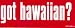 Got Hawaiian? Bumper Sticker