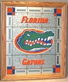 Florida Gators Stained Glass Wall Plaque