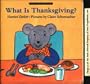 What Is Thanksgiving? (Lifft-The-Flap Story)