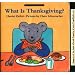 What Is Thanksgiving? (Lifft-The-Flap Story)