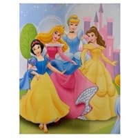 Disney Princess Fleece Blanket : 50x60 Cinderella
