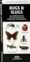 Bugs & Slugs: An Introduction to Familiar North American Invertebrates (North American Nature Guides)