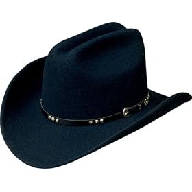 Bailey Western Three D Hat by Black Felt Hats