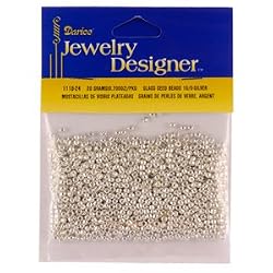 10/0 Glass Seed Beads, Silver, 20 Gram Pkg
