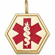 14kt Yellow Gold Medical ID Pendant