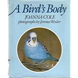 A Bird's Body