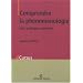 Comprendre la ph�nom�nologie : Une pratique concr�te