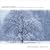 December Journey