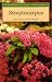 Books : Streptocarpus (Wisley Handbooks)