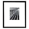 Victoria Hagan Perfect Pieces Fences and Shadows, Florida Framed Art