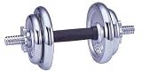 ALINCO �����������٥� 10kg EX-510