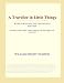 A Traveller in Little Things (Webster's English Thesaurus Edition)