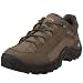 Lowa Women's Renegade Gtx Lo Hiking Boot
