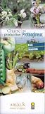 Charte de production des prot�agineux : Pois, f�verole