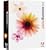 Adobe Illustrator CS2 [OLD VERSION]